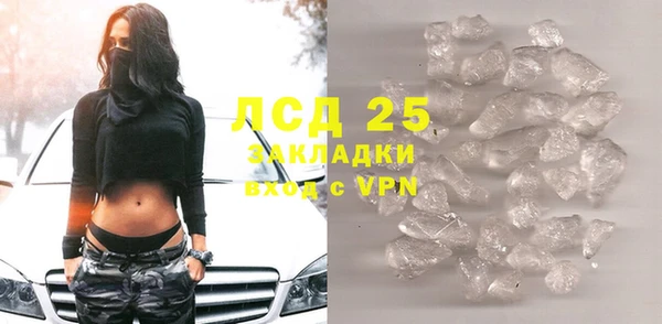 прущие грибы Балахна