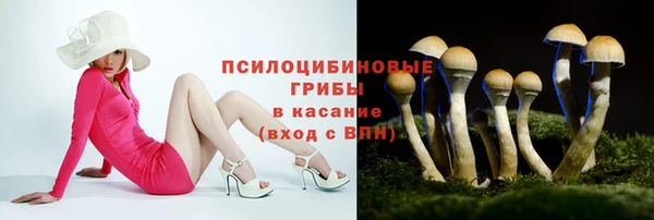 2c-b Балабаново