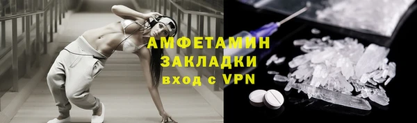 прущие грибы Балахна