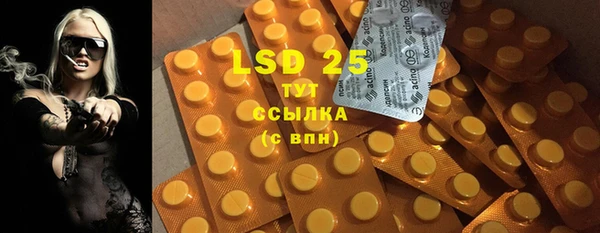прущие грибы Балахна