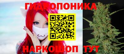 индика Гай