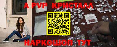 индика Гай