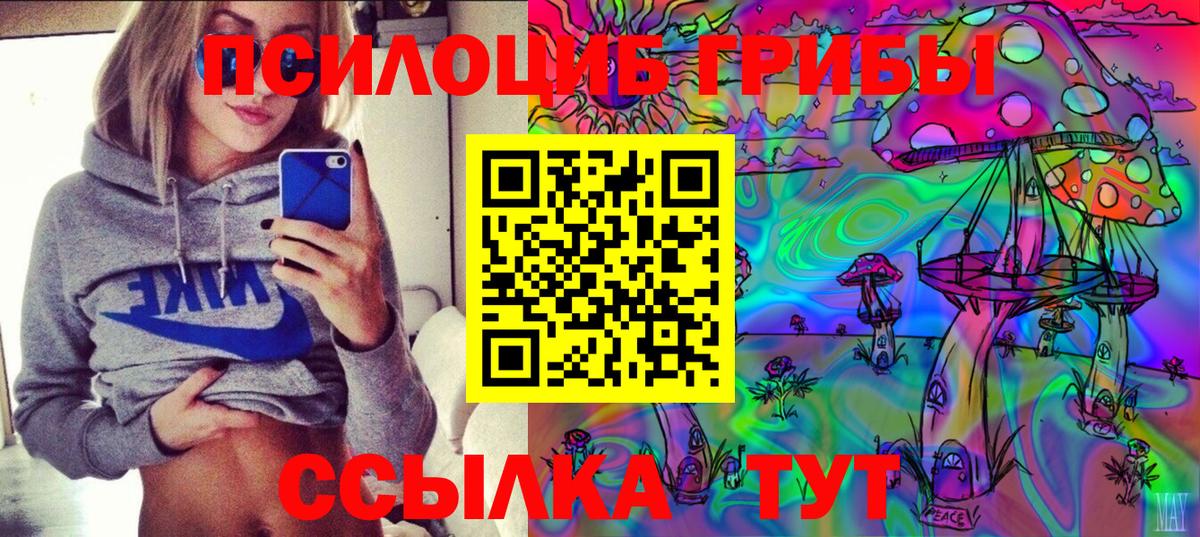 Псилоцибиновые грибы прущие грибы Луховицы