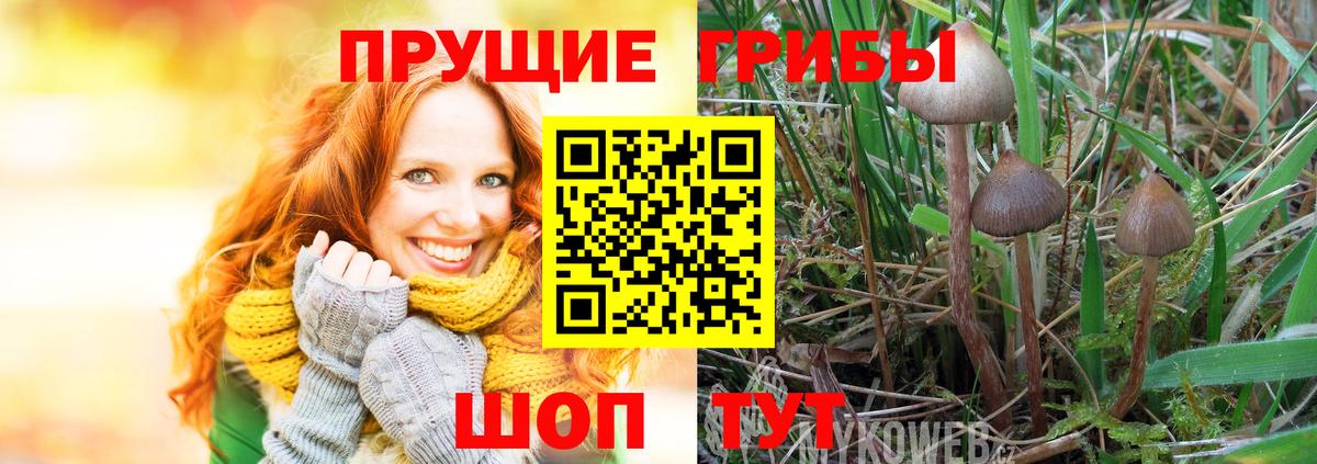 Псилоцибиновые грибы Psilocybe  Вход с VPN  магазин продажи наркотиков  Луховицы 